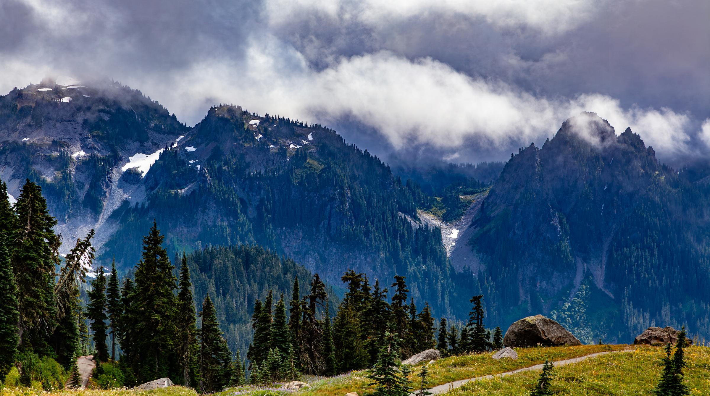 Mountain Trails Mt Rainier