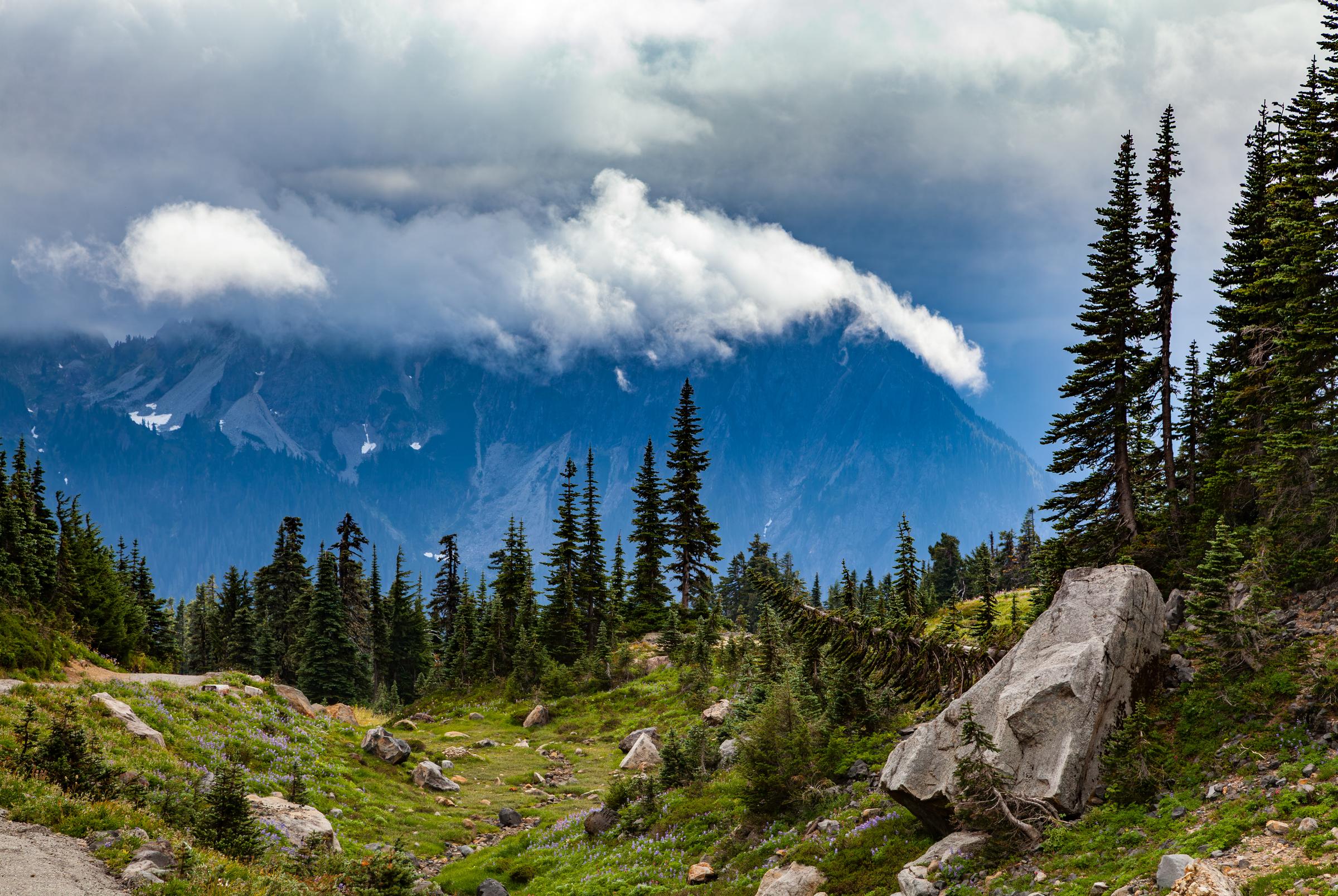 Day hiking Mt Rainier