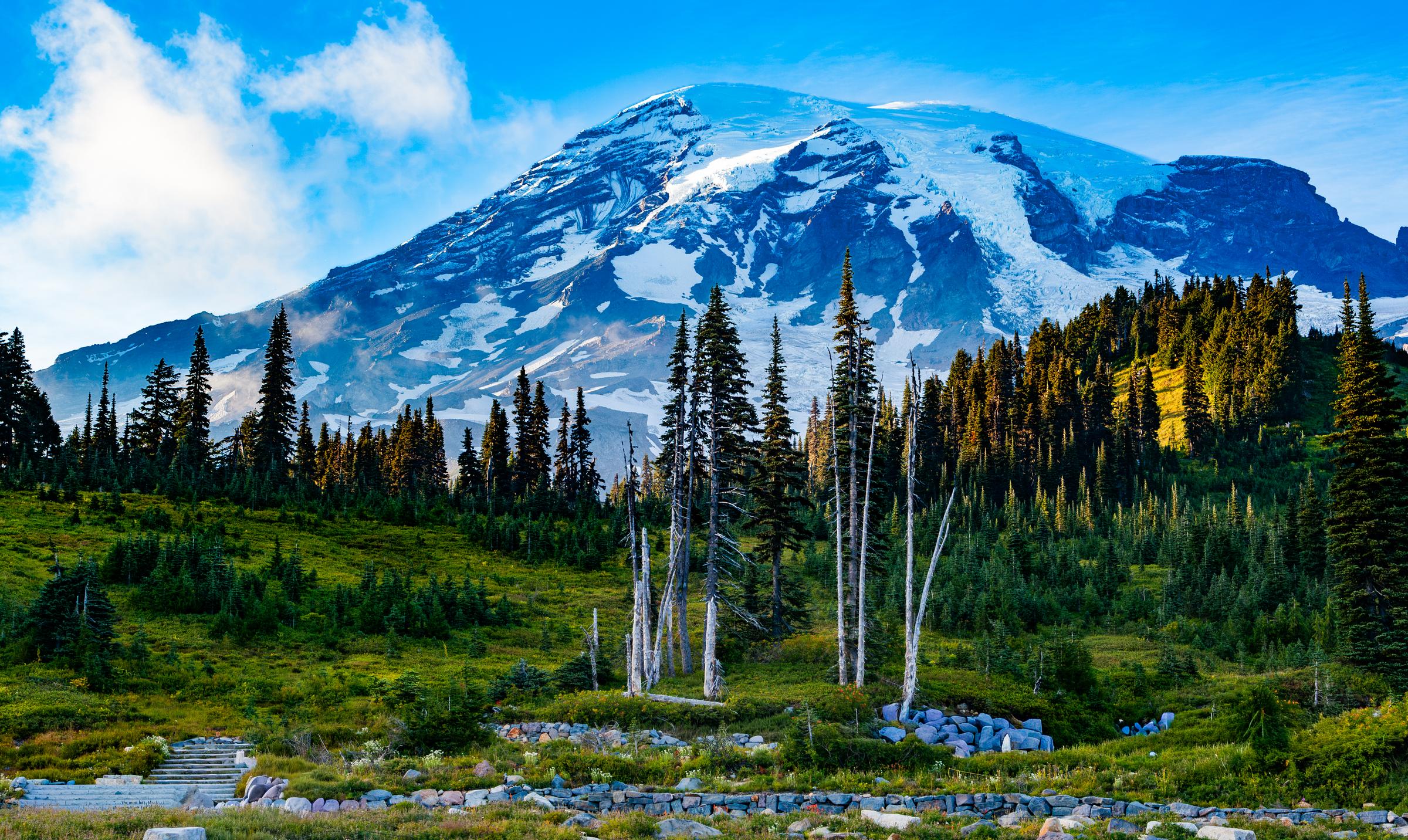 Mount Rainier