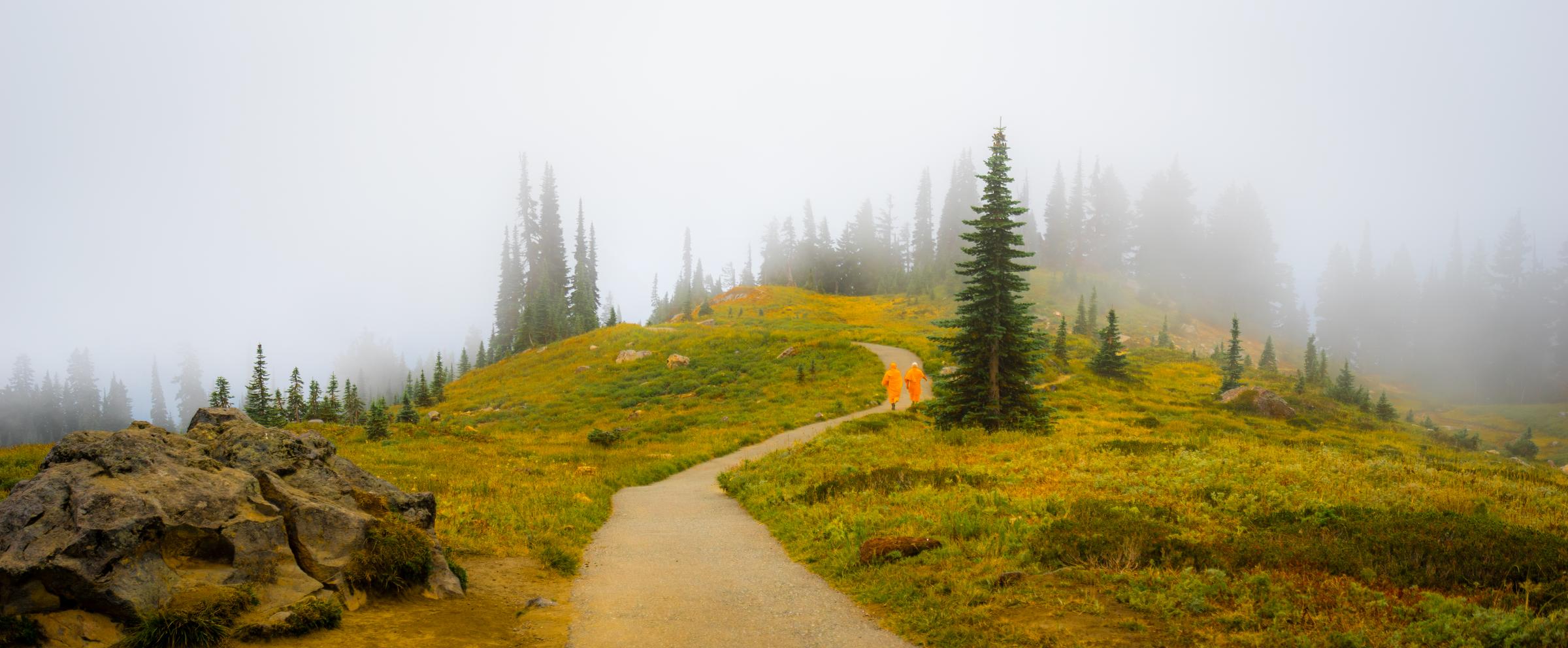 Hikers on a misty trail Mount Rainier Washington State United States
