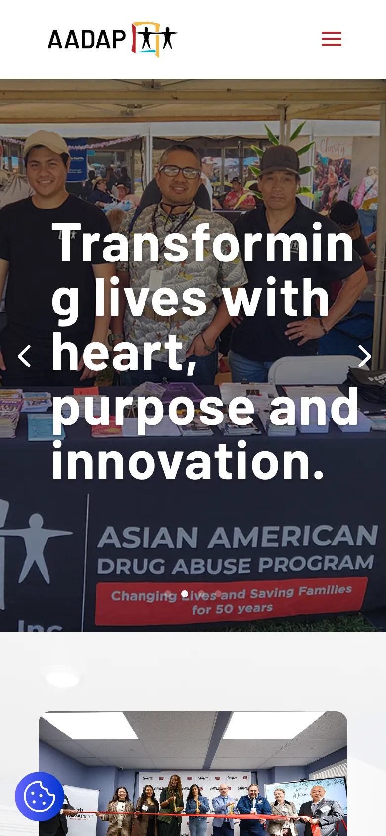 Aadapinc preview