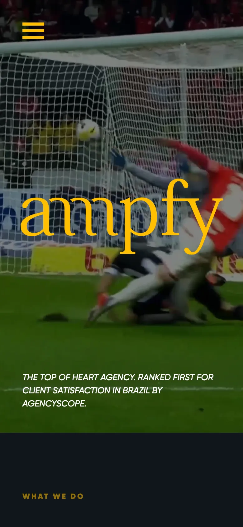 Ampfy preview