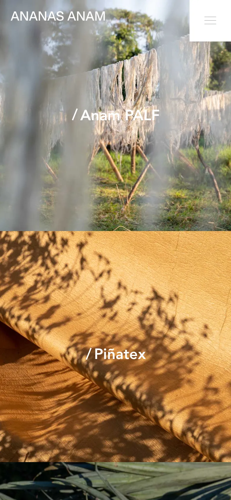 Ananas Anam preview