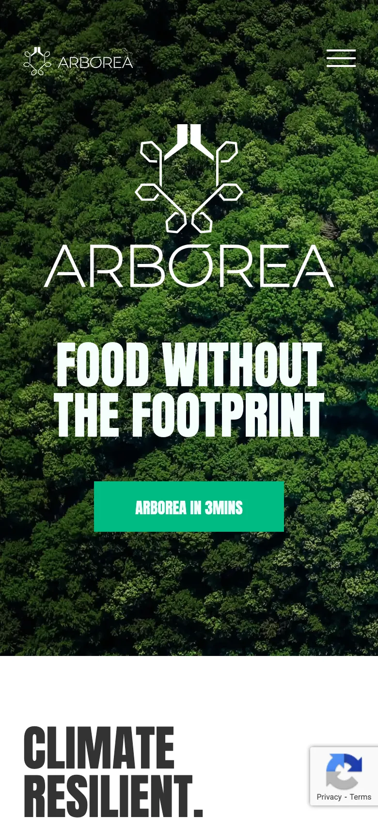 Arborea preview