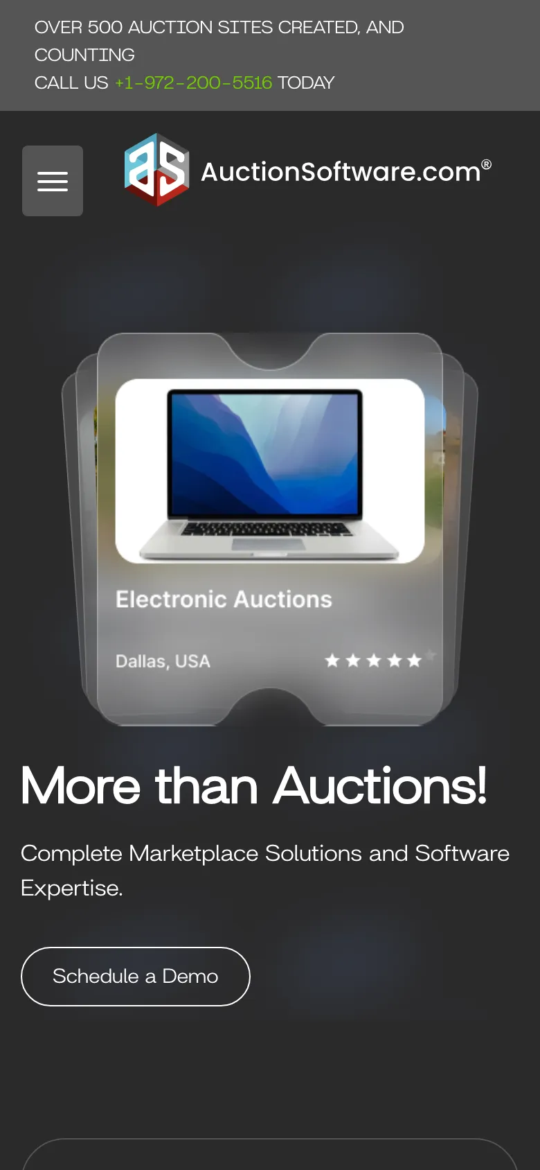 Auctionsoftware preview
