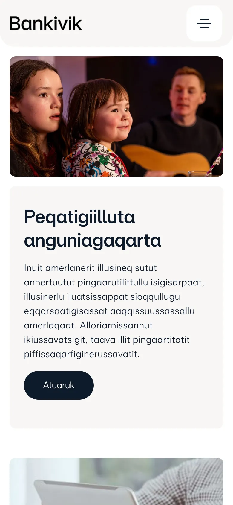 Banknordik preview