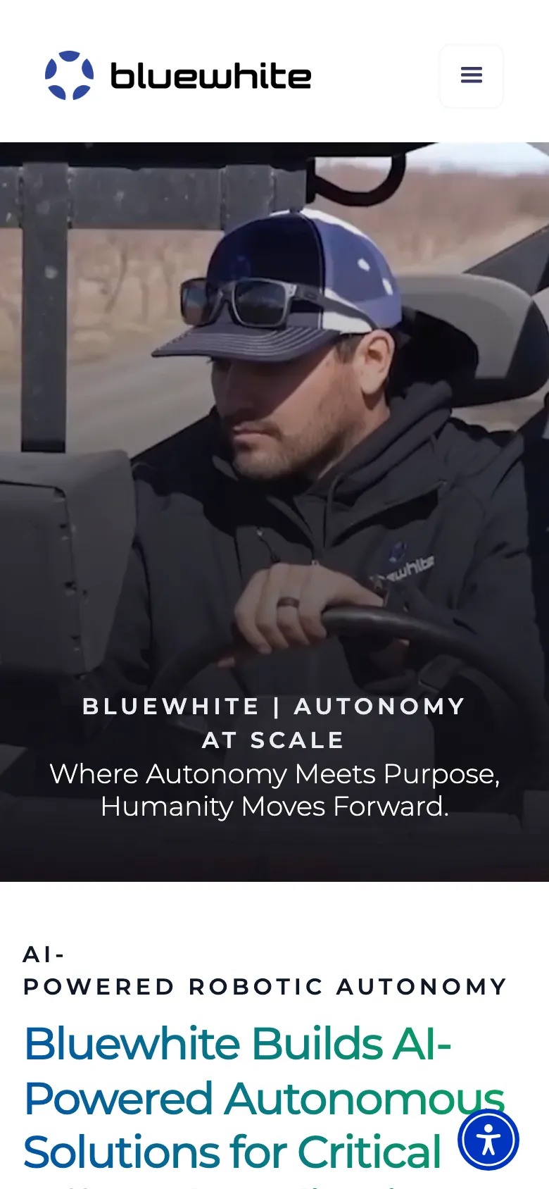 Bluewhite preview