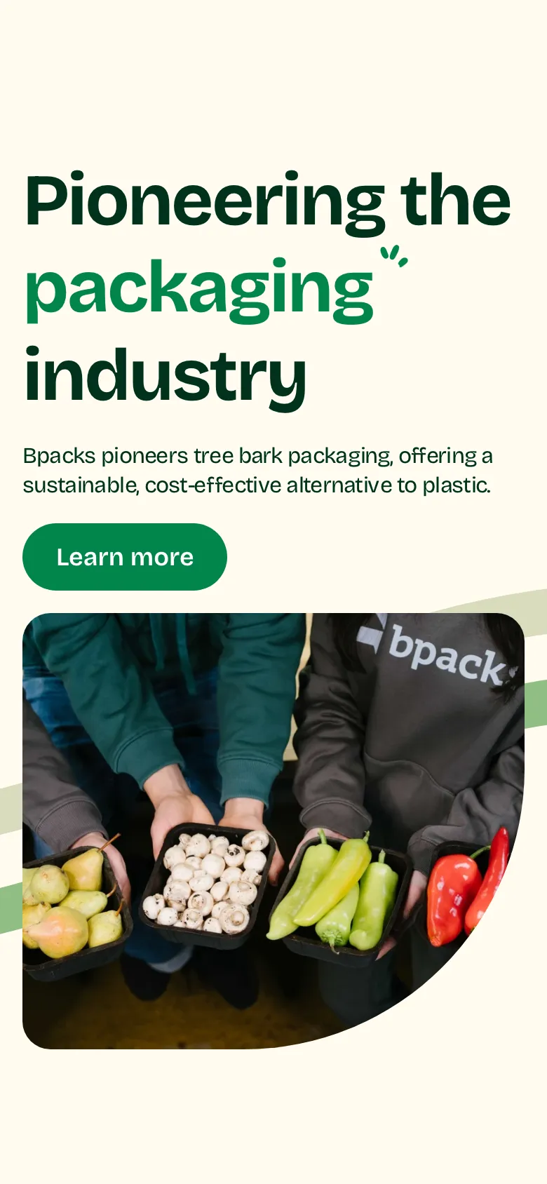 Bpacks preview