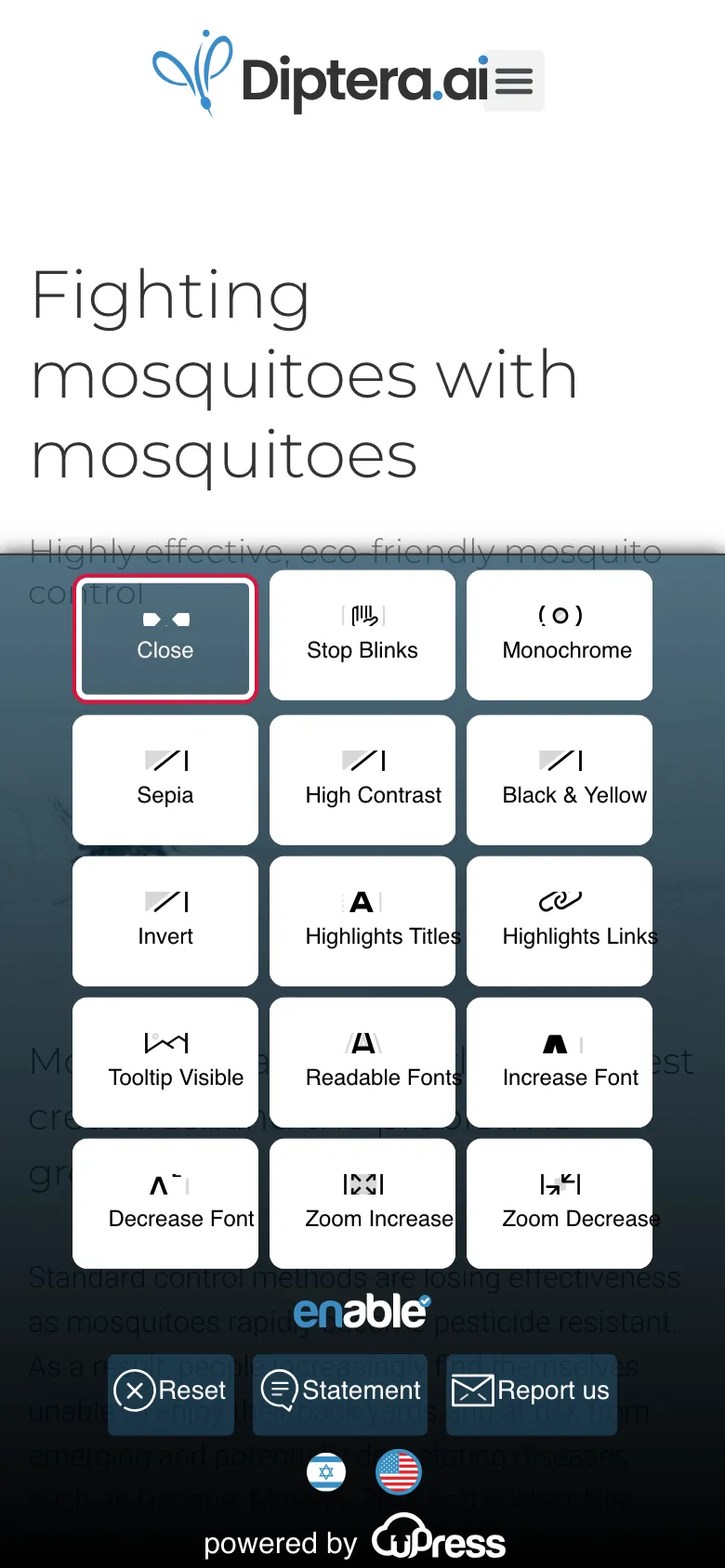 Diptera preview