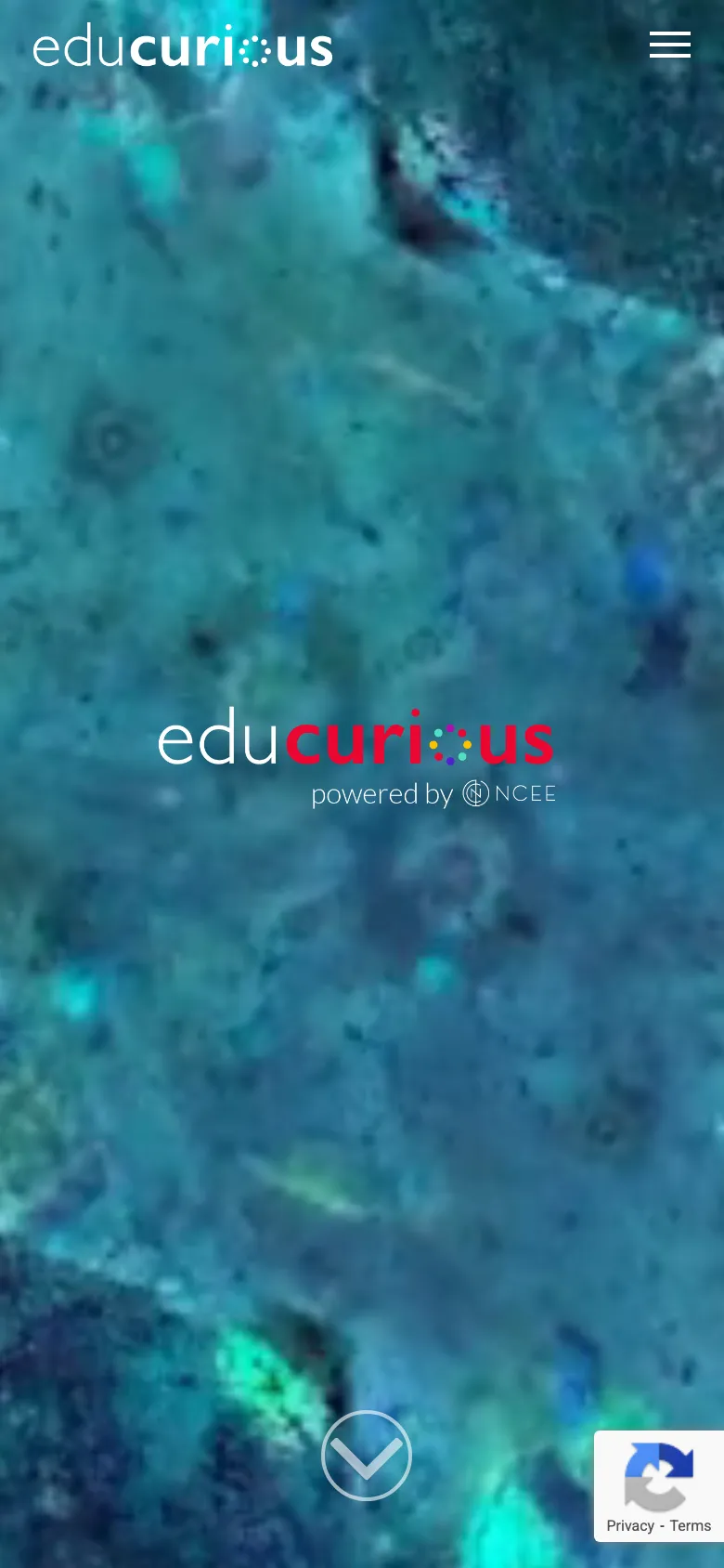 Educurious preview
