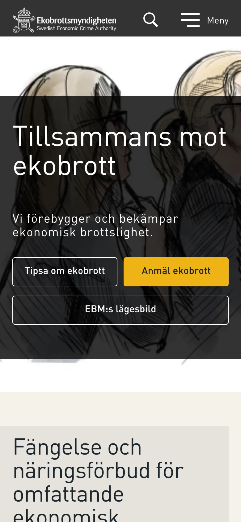 Ekobrottsmyndigheten preview