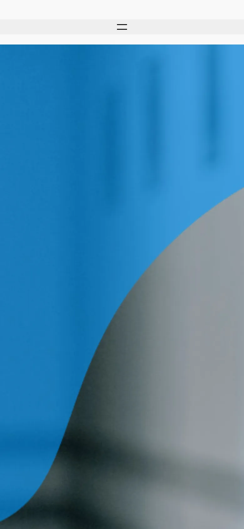 Endovisionai preview