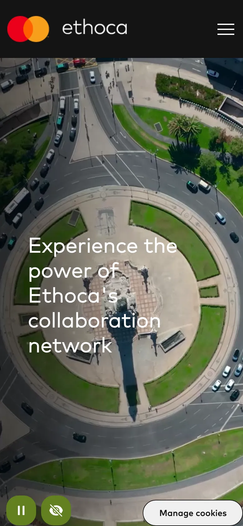 Ethoca preview