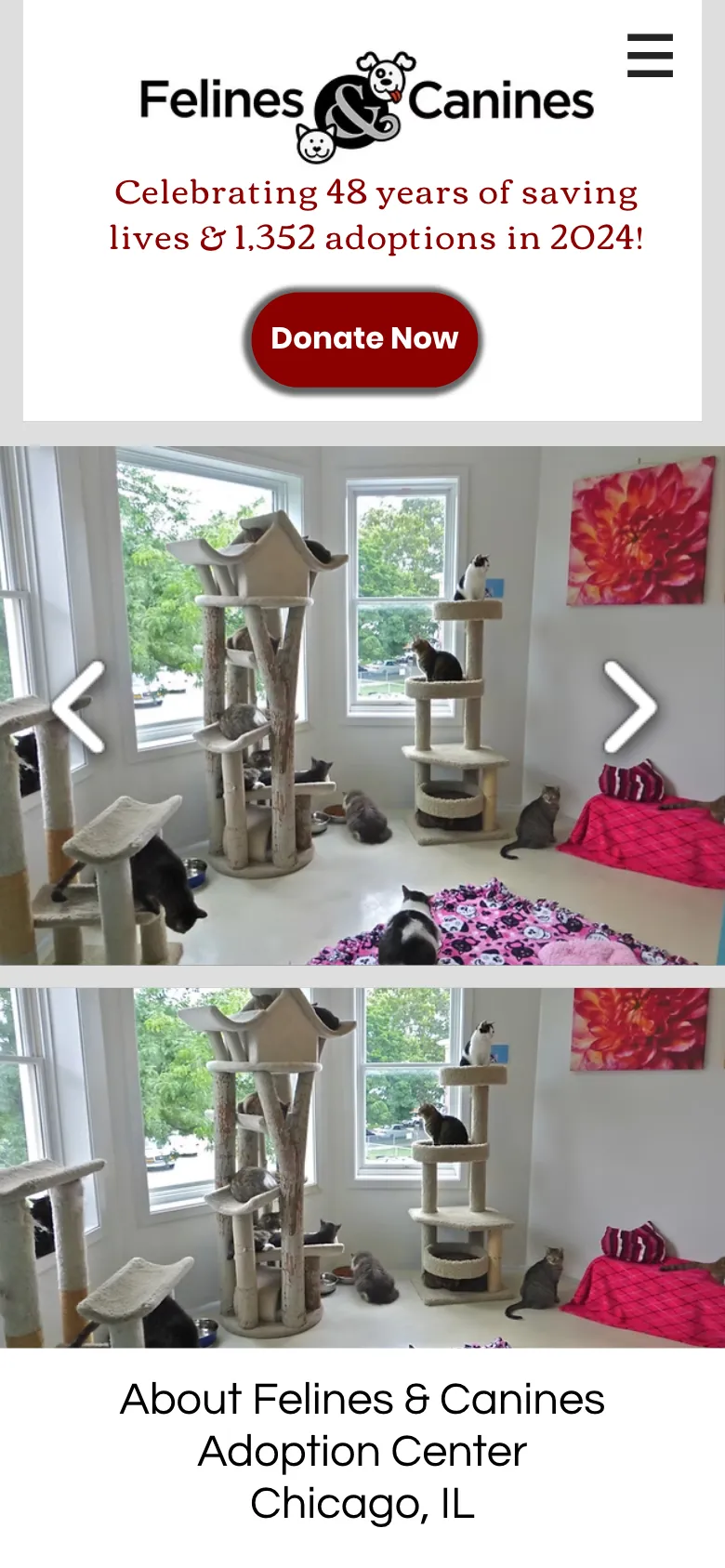 Felinescanines preview