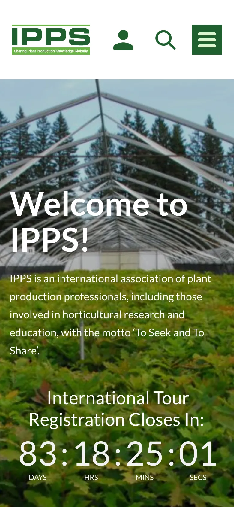 Ipps preview