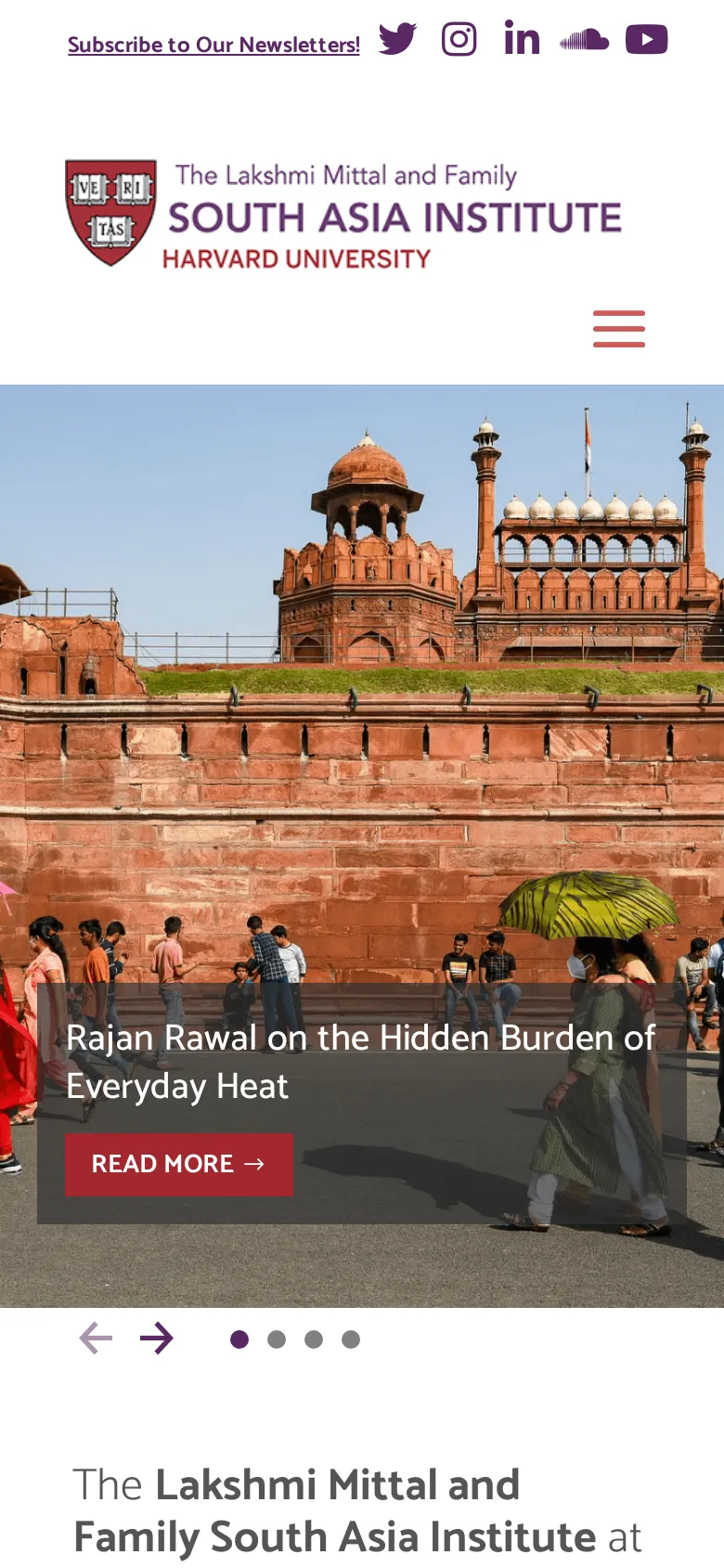 Mittalsouthasiainstitute preview