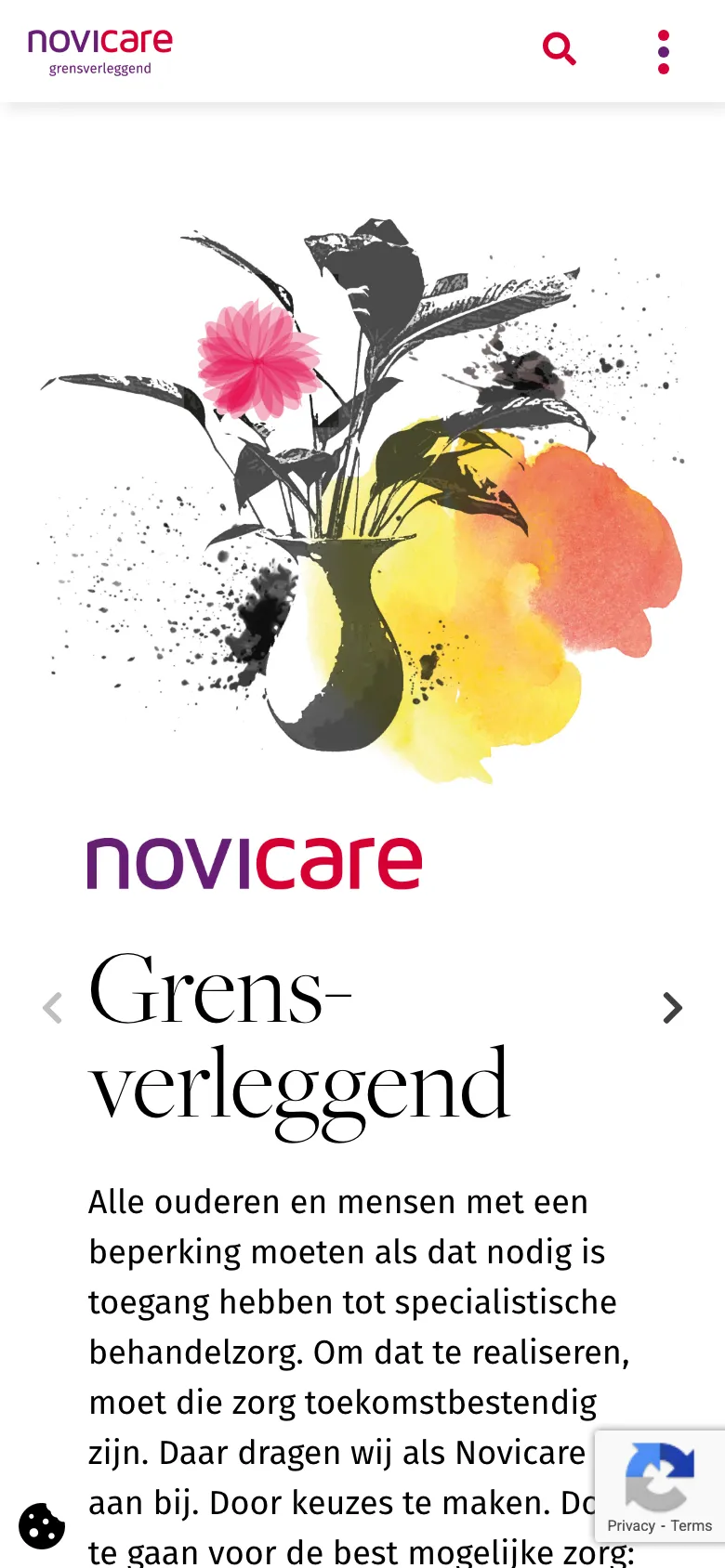 Novicare preview