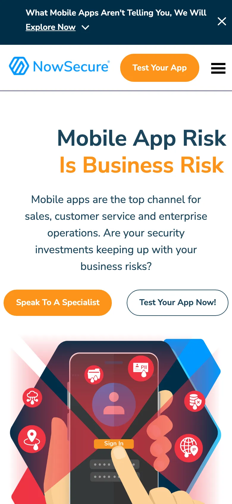 Nowsecure preview