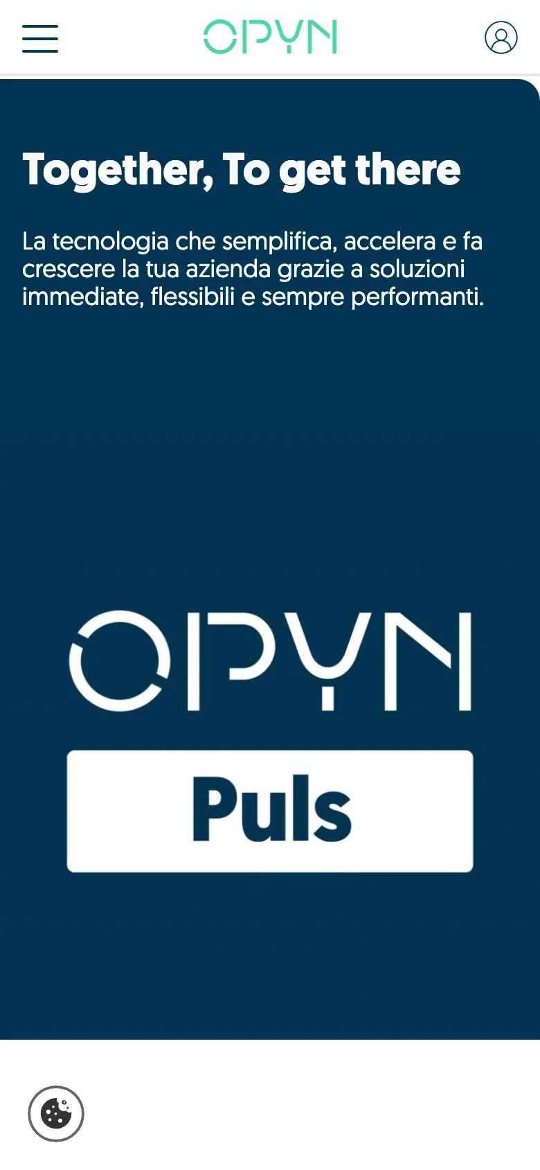 Opyn preview