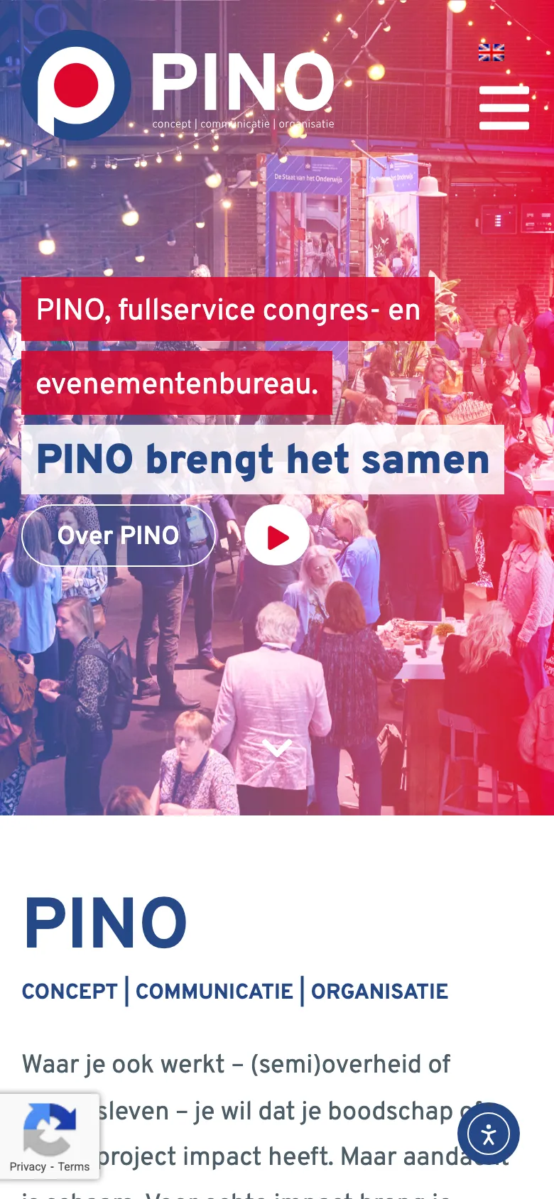 Pino preview