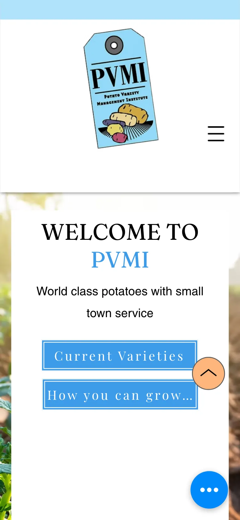 Pvmi preview