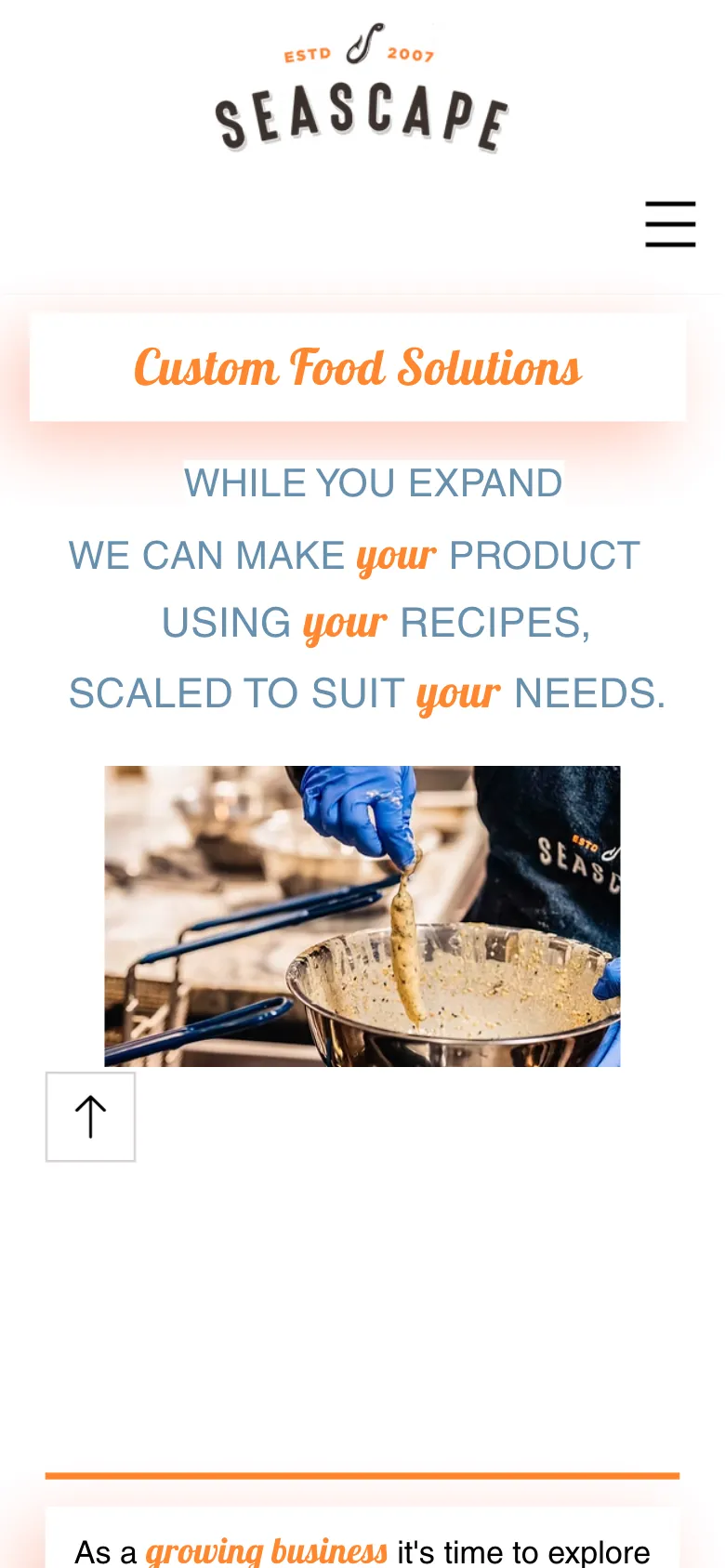 Seascapeinc preview