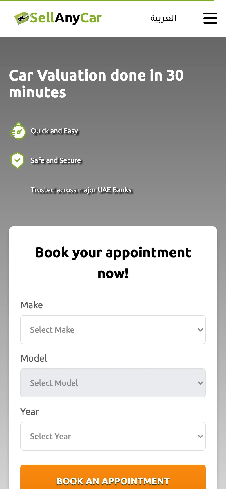 Sellanycar preview