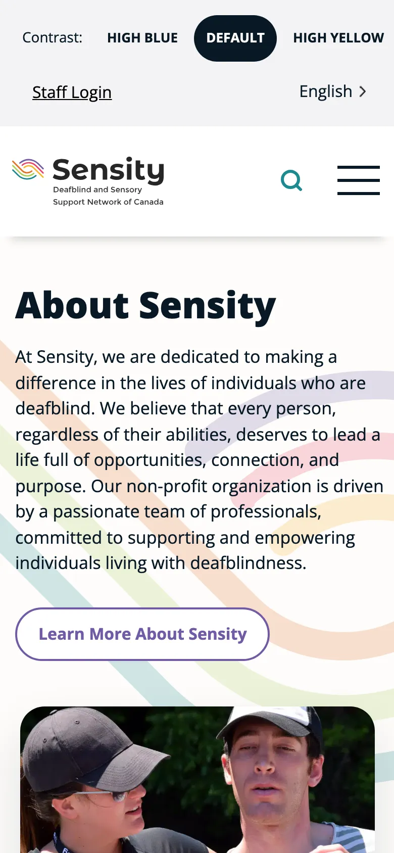 Sensity preview