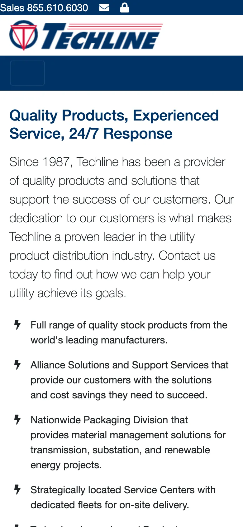Techline Inc preview