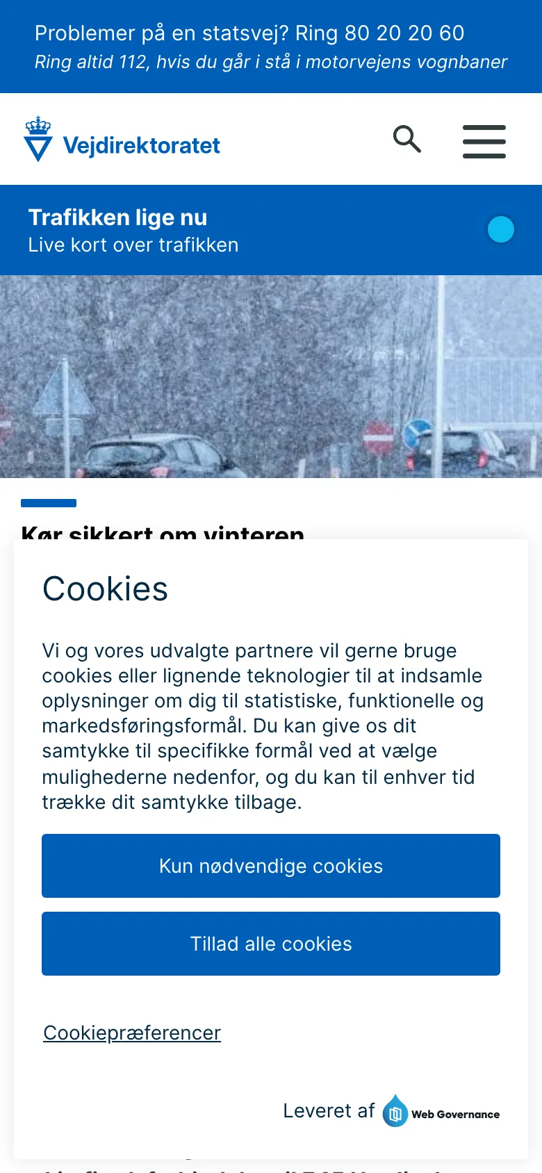 Vejdirektoratet preview
