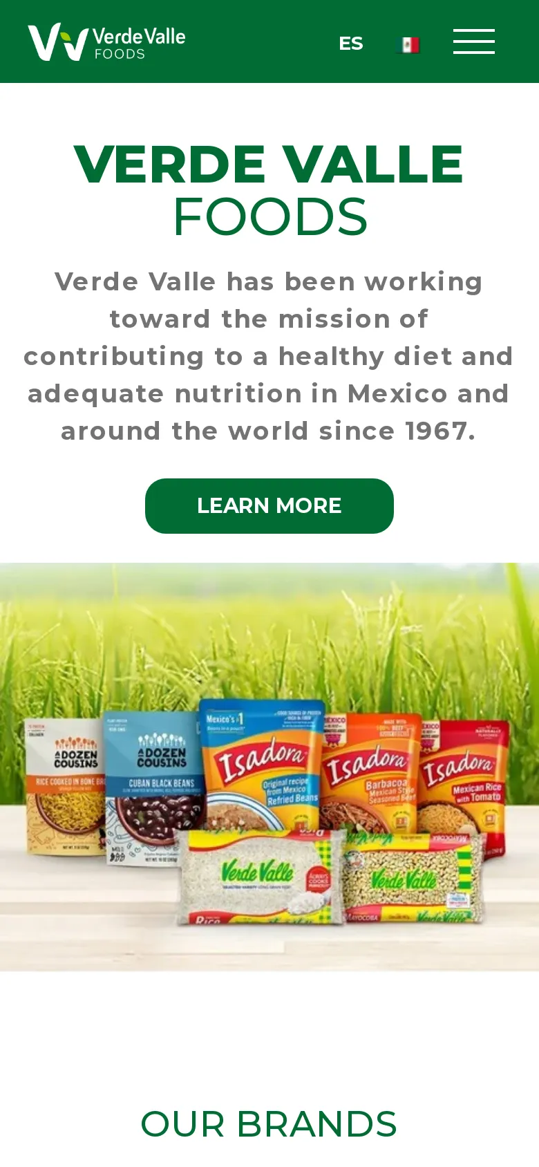 Verdevallefoods preview