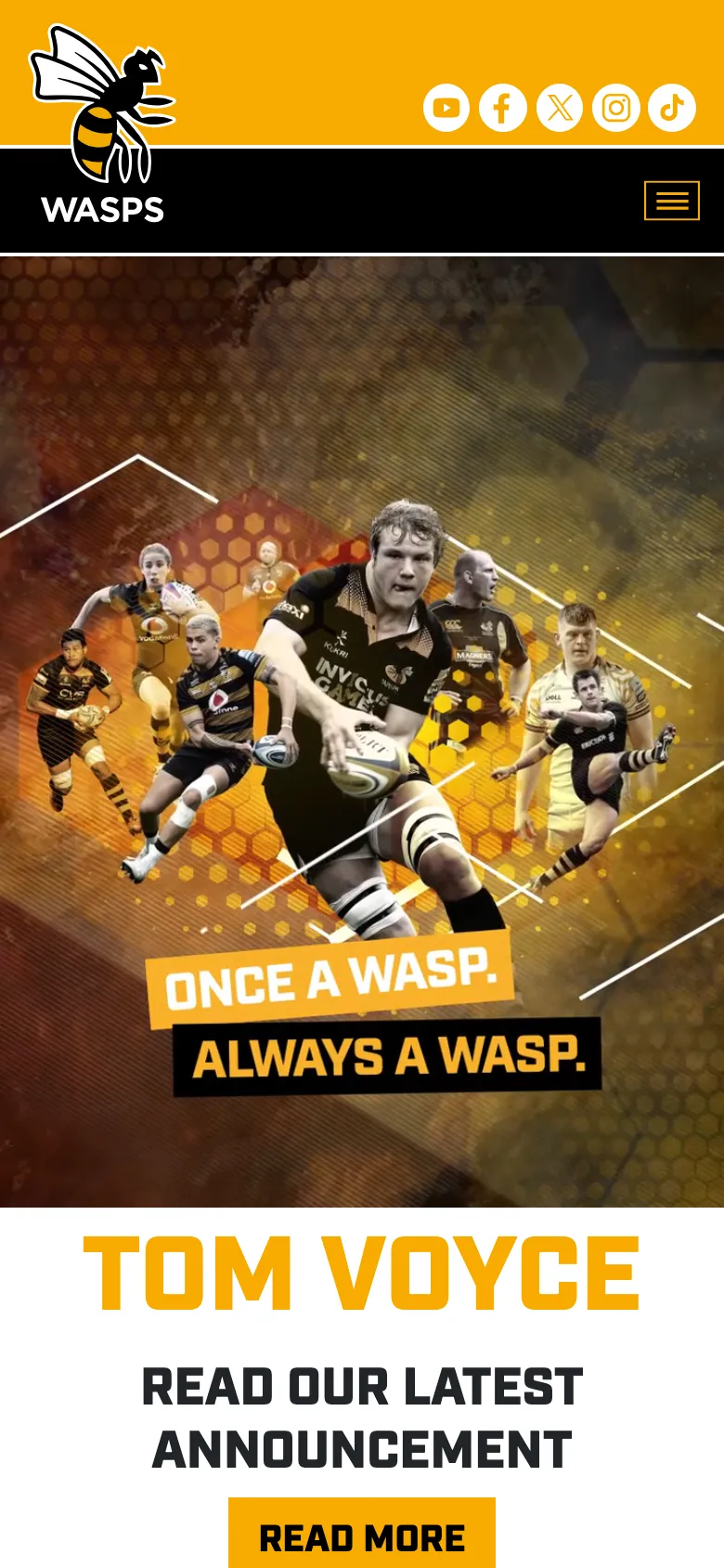 Wasps preview