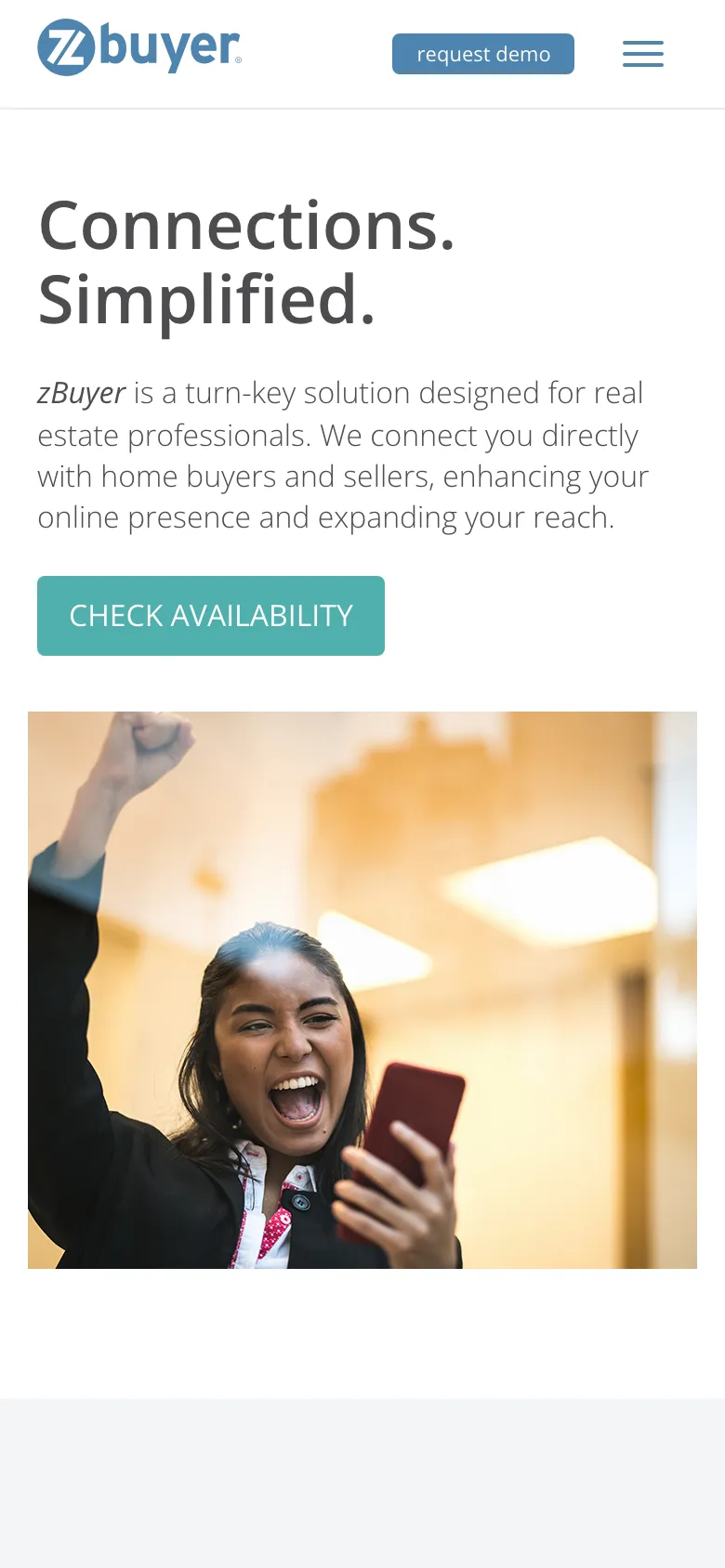 Zbuyer preview