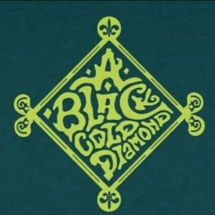 I Can Not Believe cover