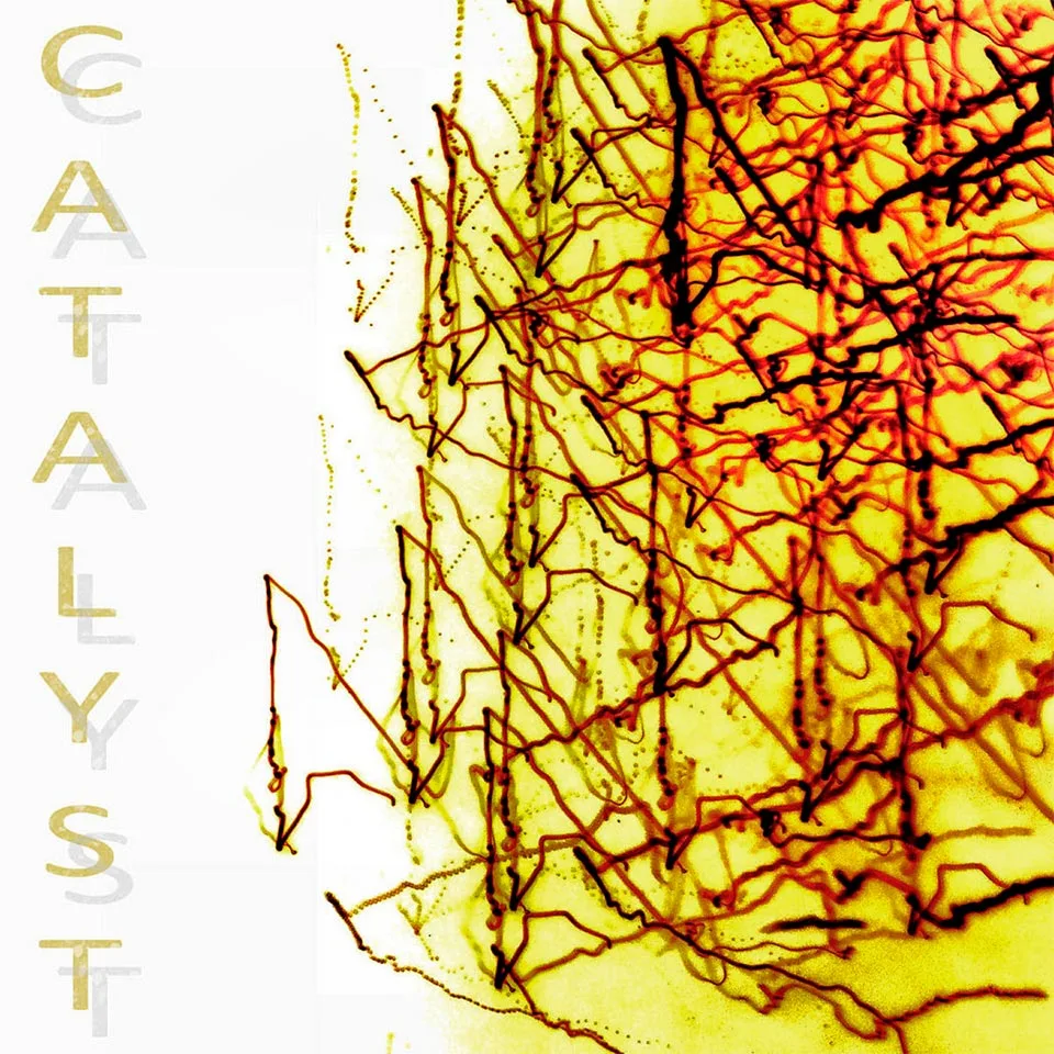 Catalyst cover