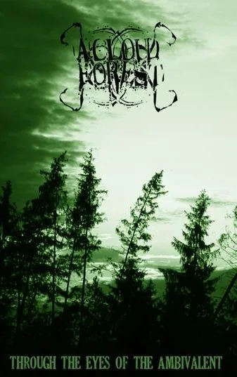 Through the Eyes of the Ambivalent cover