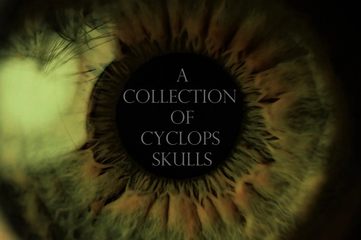 A Collection of Cyclops Skulls cover