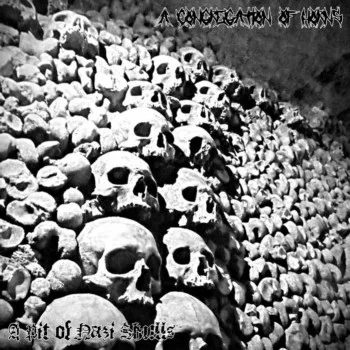 A Pit of Nazi Skulls cover