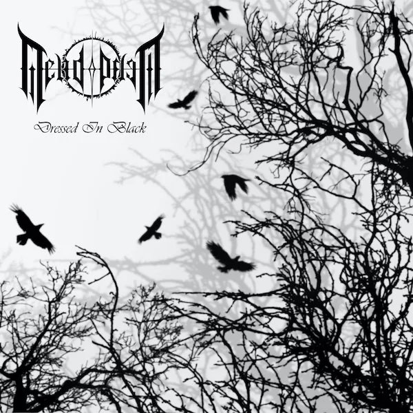 Dressed in Black cover