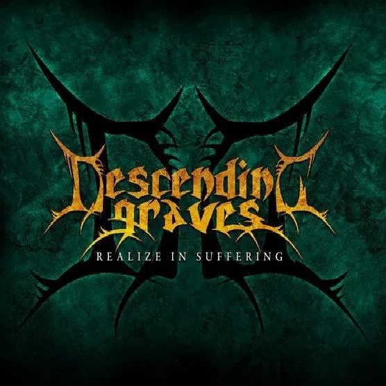 Realize in Suffering cover