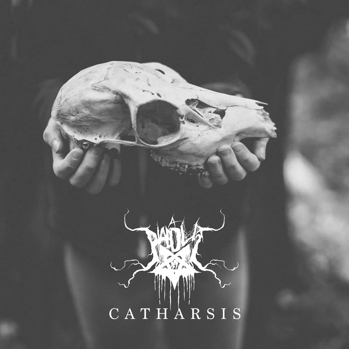 Catharsis cover