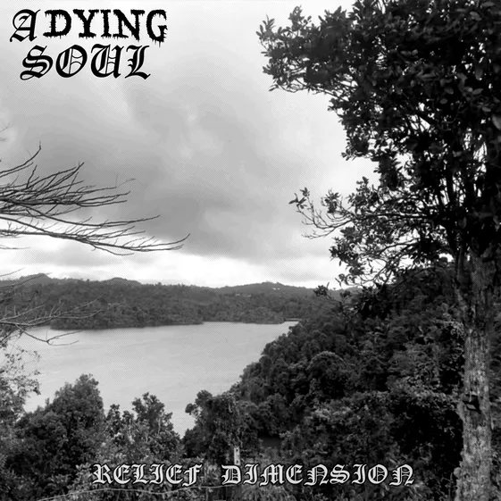 Relief Dimension cover