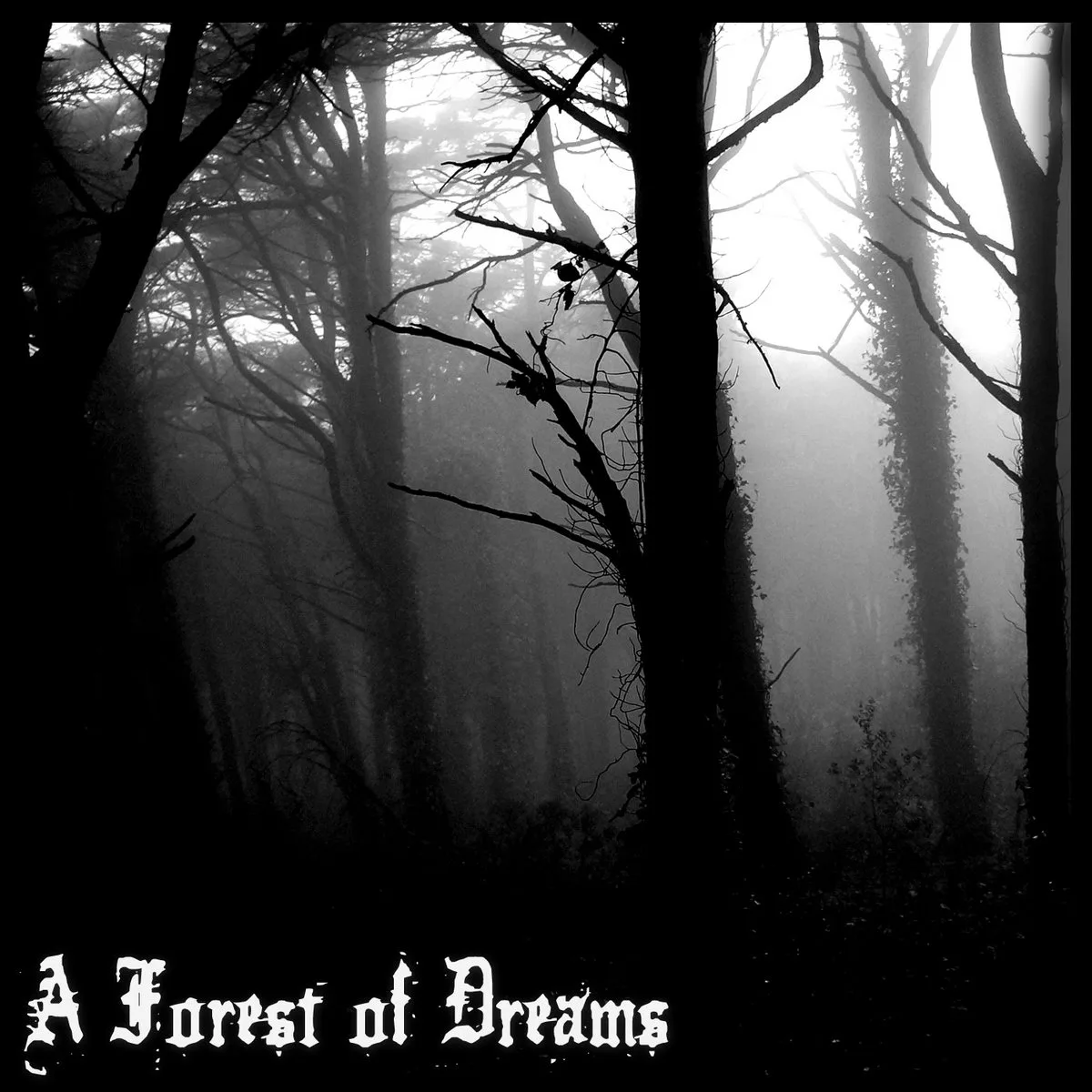 A Forest of Dreams cover