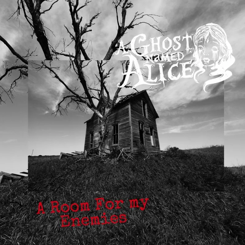 A Room for My Enemies cover