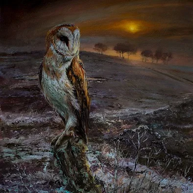 An Appointed Time cover