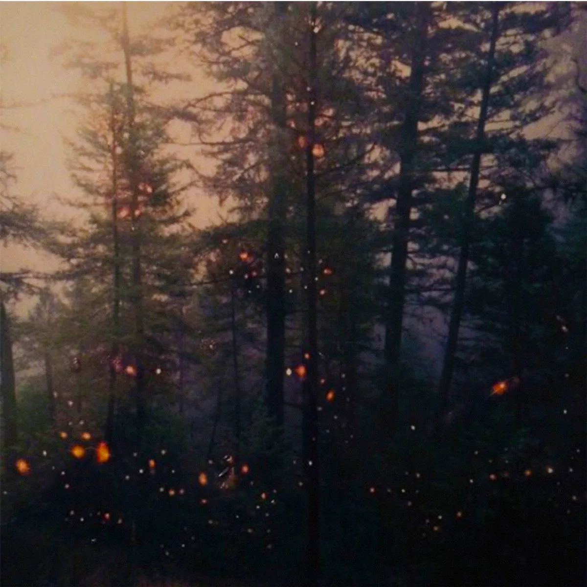 Garden of Embers cover