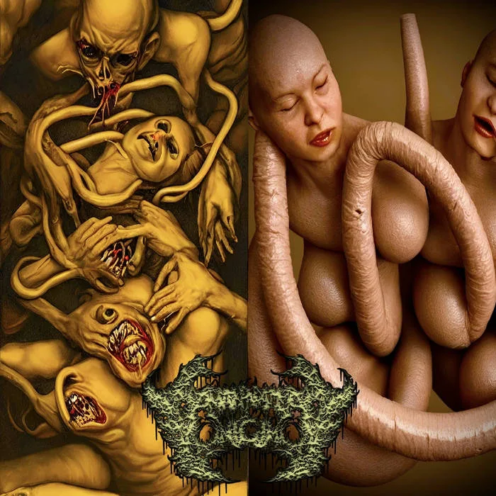 Fluidic Reconstruction / Empty Vessels cover