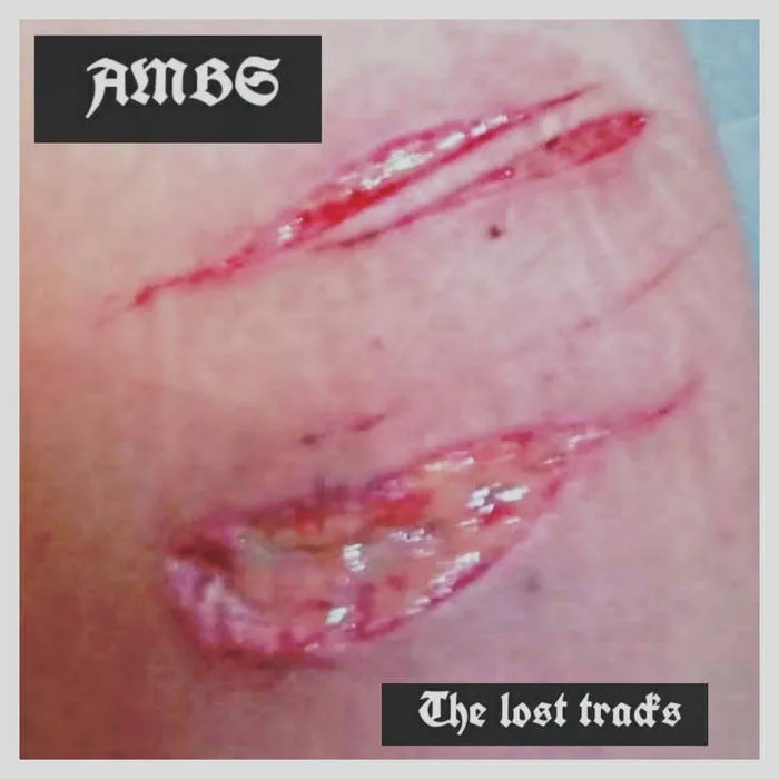 The Lost Tracks cover