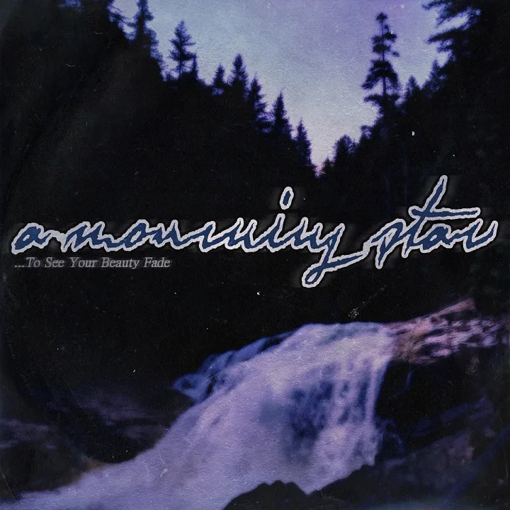 To See Your Beauty Fade cover