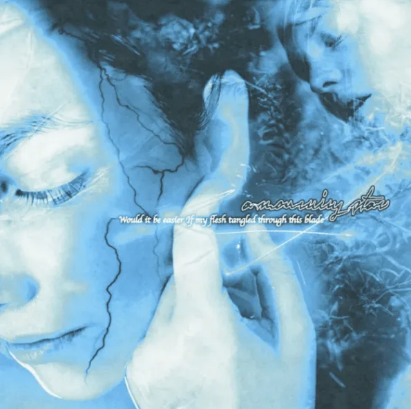 Would It Be Easier If My Flesh Tangled Through This Blade cover